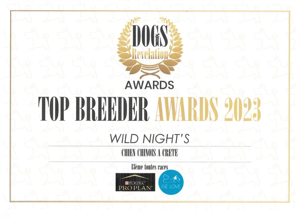 Wild Night's - Top Breeder DOGS Révélation 2023