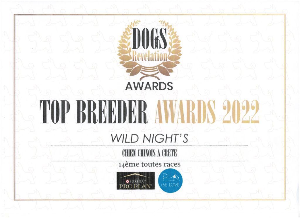 Wild Night's - Top Breeder DOGS Révélation 2022